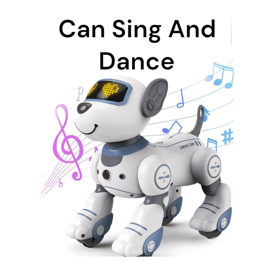 Smart Stunt Dog Singing, Dancing and Various Exciting Actions