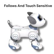 Smart Stunt Dog Singing, Dancing and Various Exciting Actions