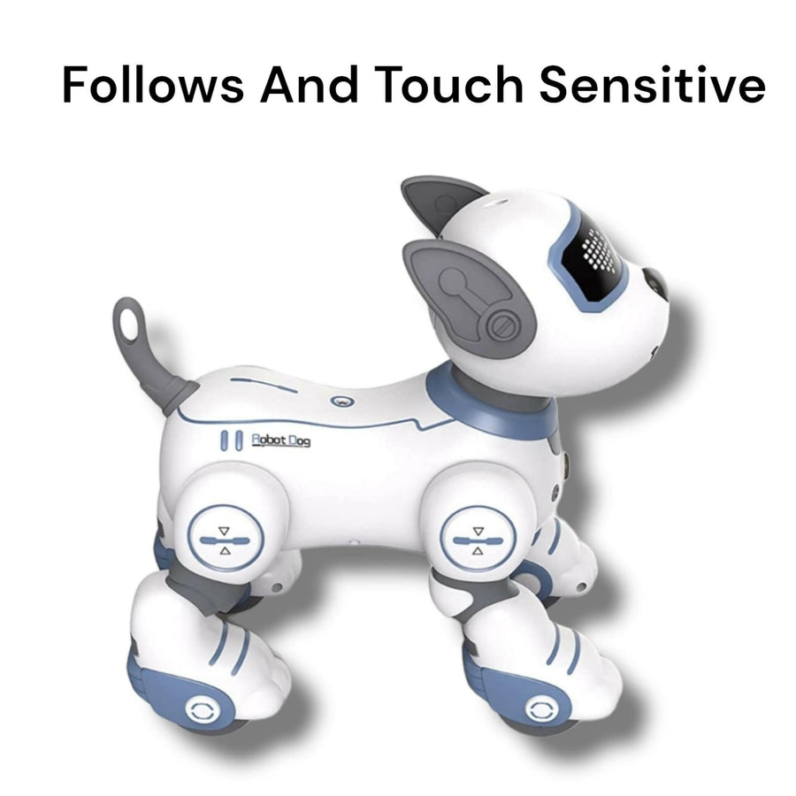Smart Stunt Dog Singing, Dancing and Various Exciting Actions